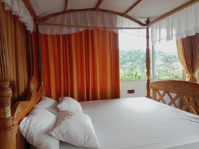 Lion Guest House